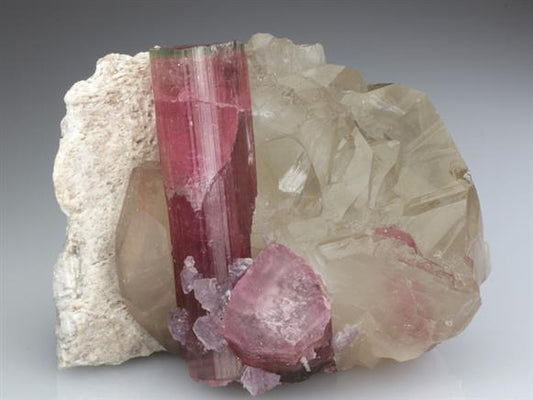 CC2706 specimen image