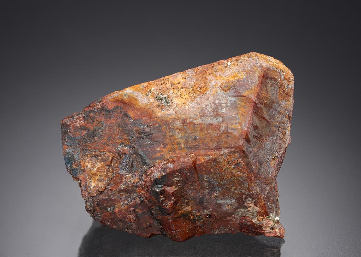 CC27063 specimen image