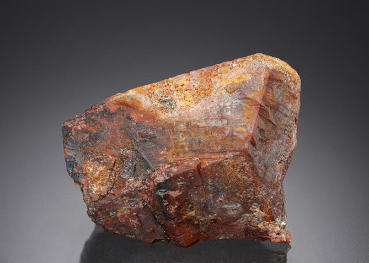 CC27063 specimen image