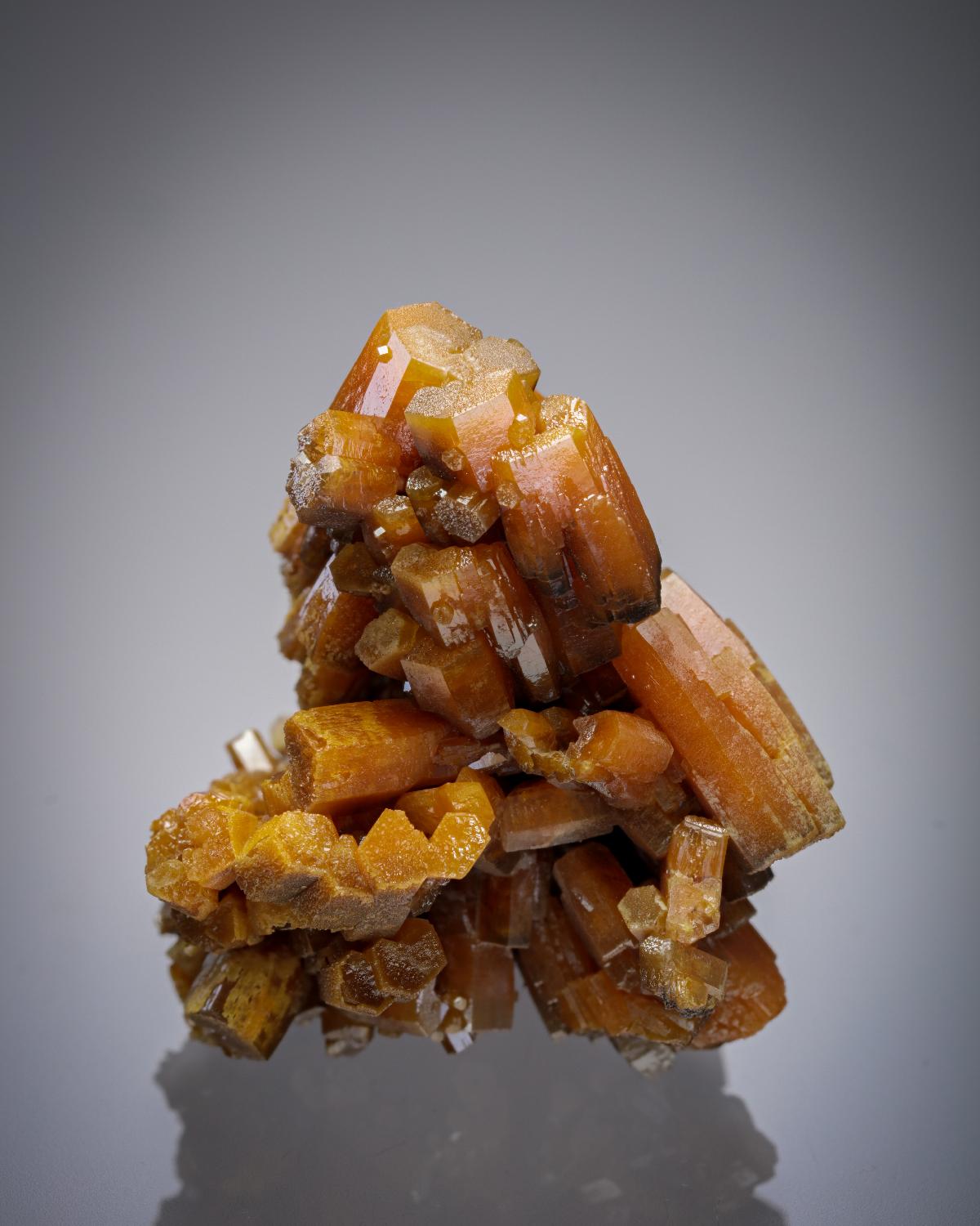CC27081 specimen image