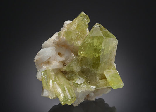 CC27083 specimen image