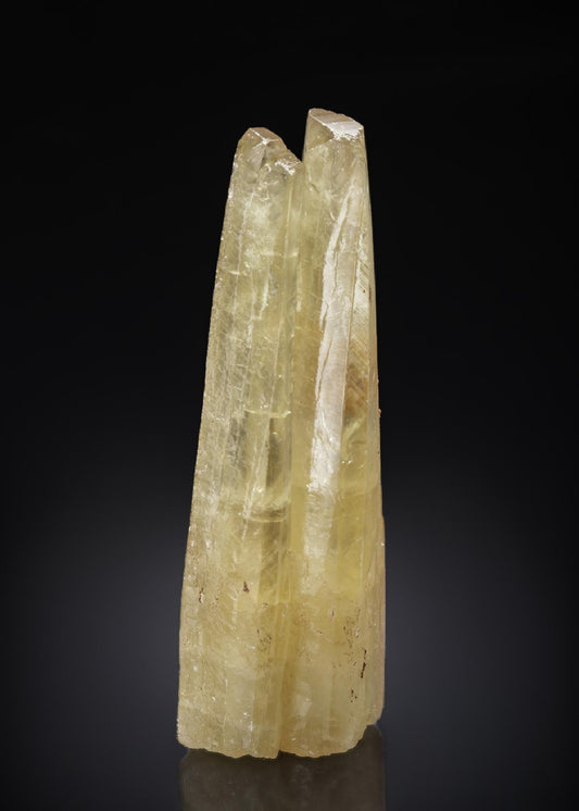 CC27121 specimen image