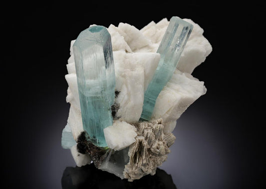 CC27135 specimen image