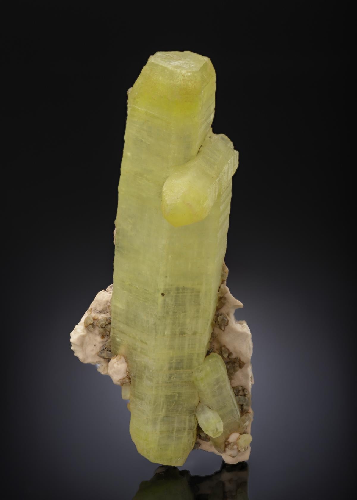 CC27137 specimen image