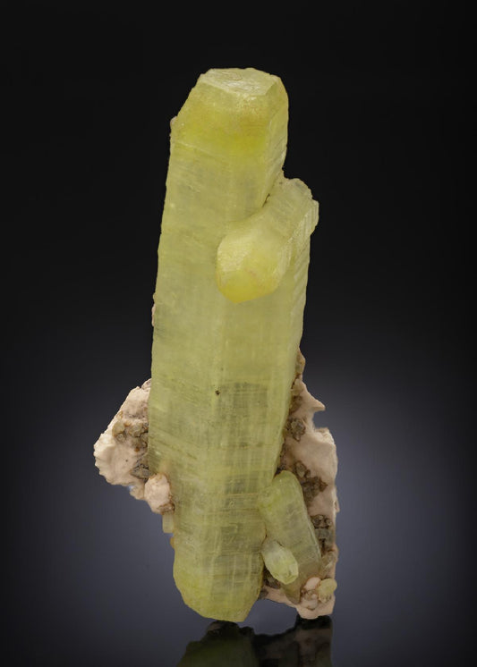 CC27137 specimen image