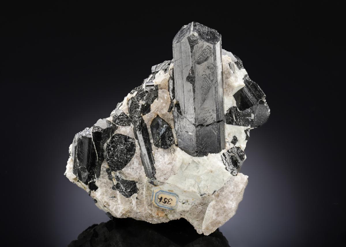 CC27143 specimen image