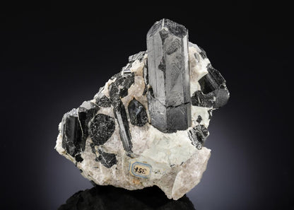CC27143 specimen image