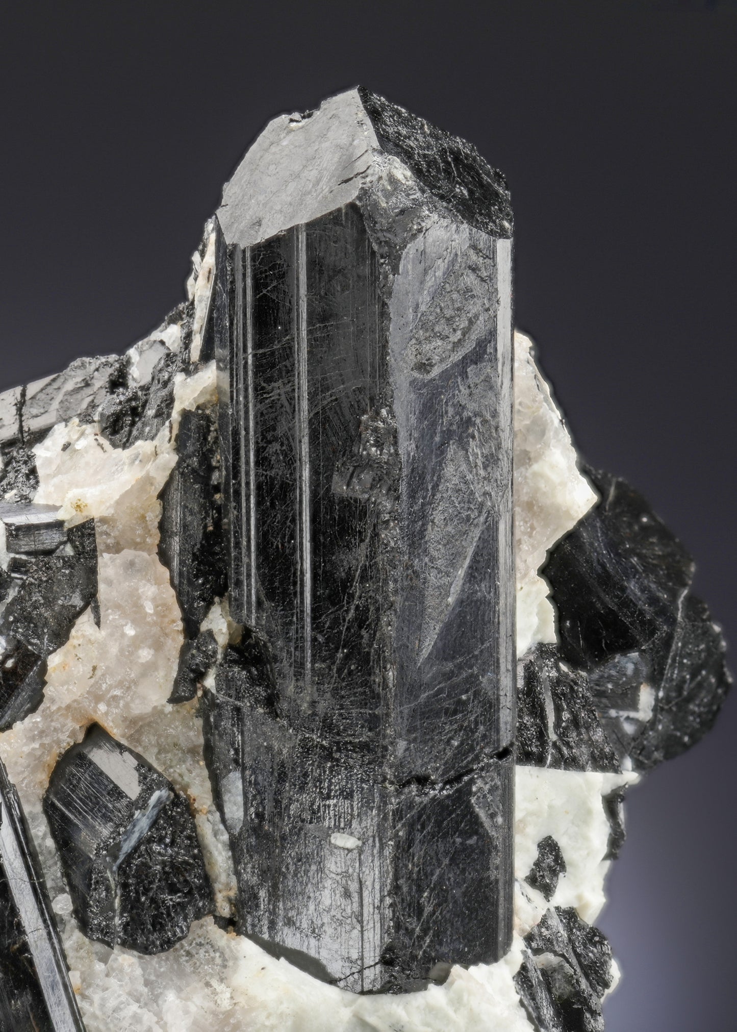 SCHORL