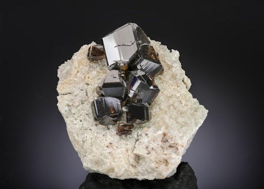 CC27153 specimen image