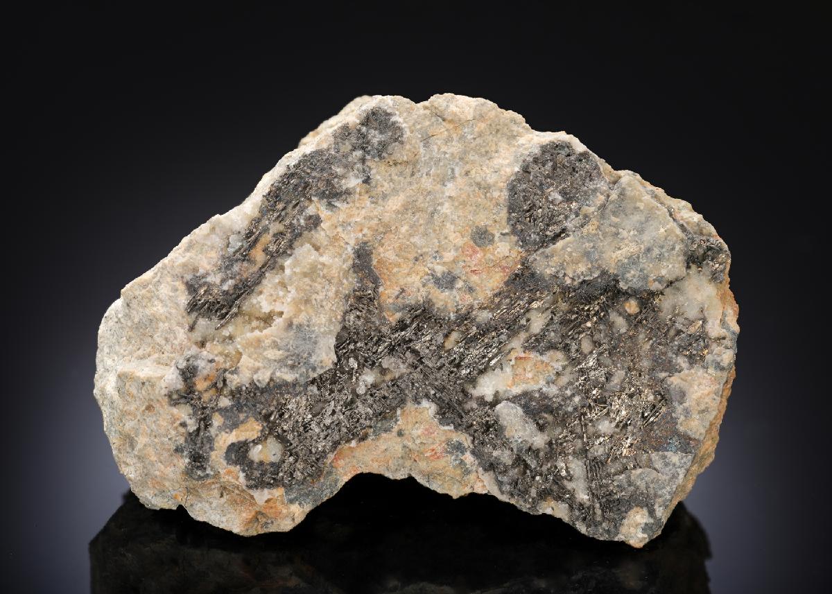 CC27155 specimen image