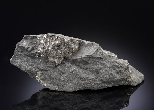 CC27157 specimen image