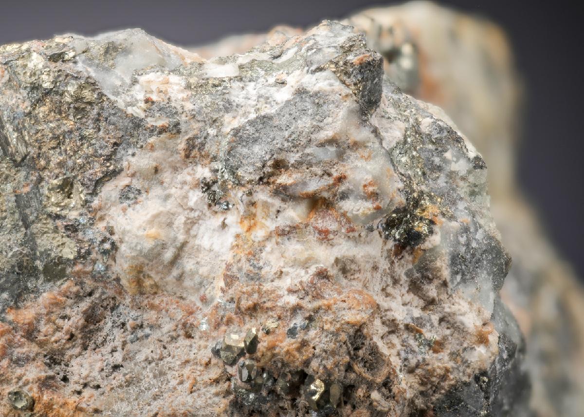 CC27163 specimen image
