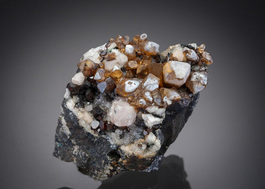 CC27169 specimen image
