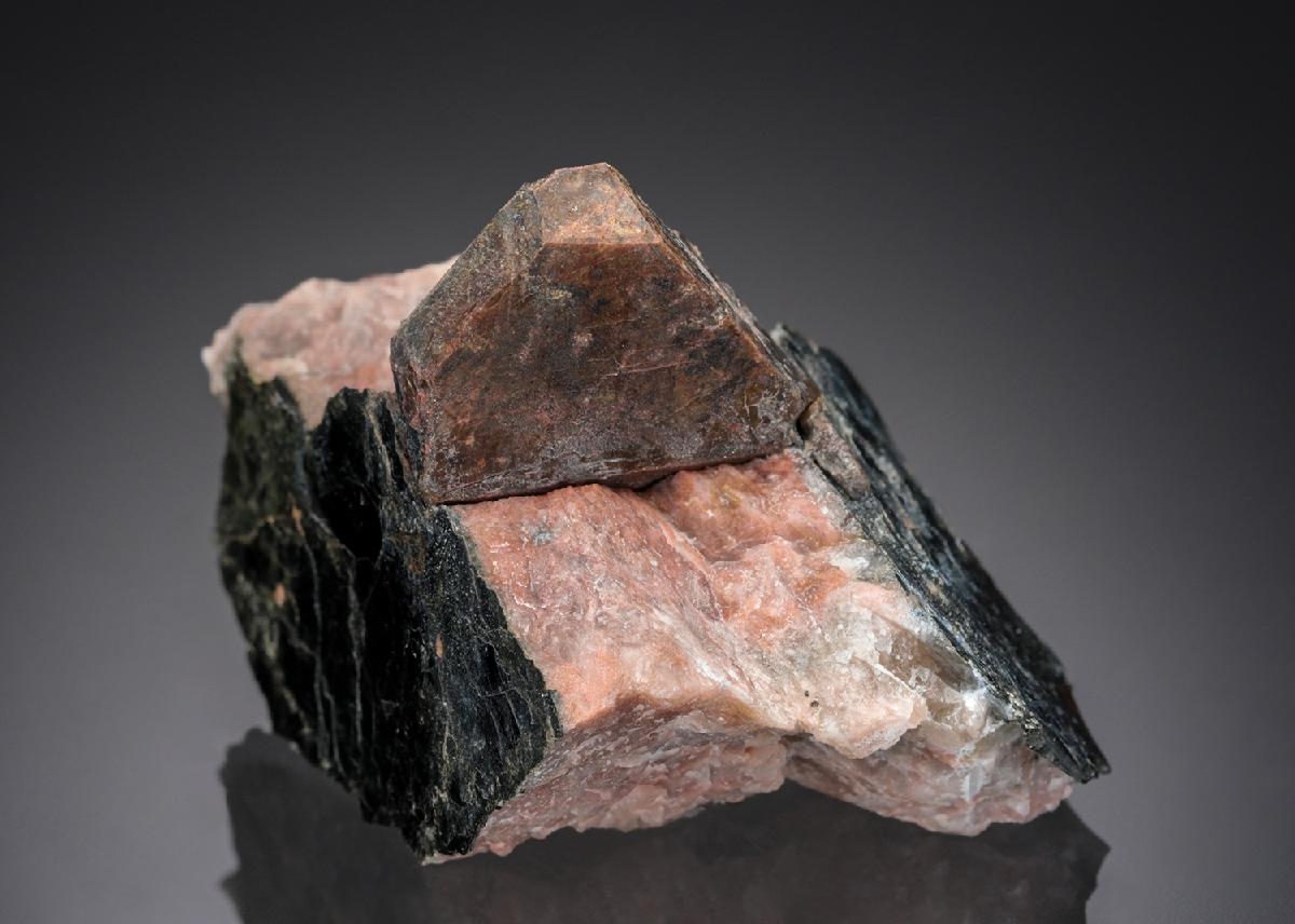 CC27175 specimen image