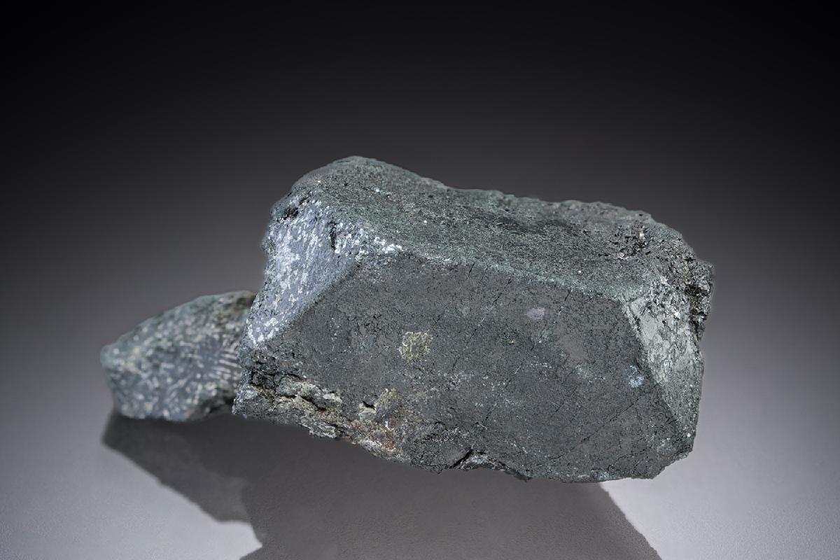 CC27181 specimen image