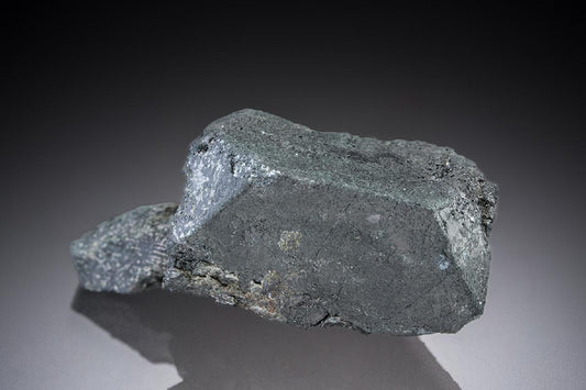 CC27181 specimen image