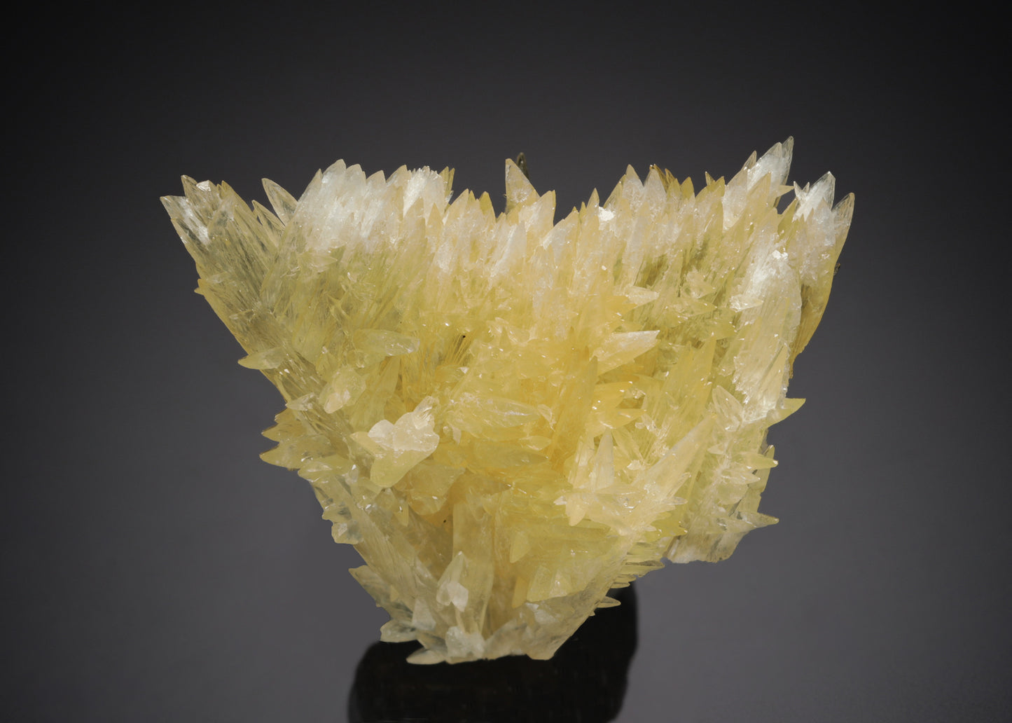 CALCITE