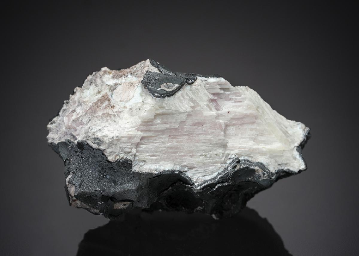 CC27189 specimen image