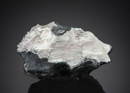 CC27189 specimen image