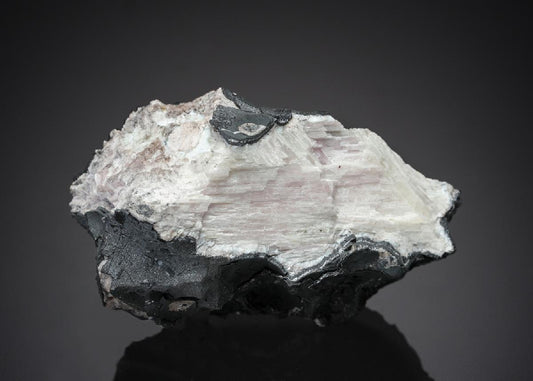 CC27189 specimen image