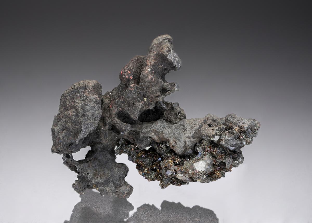 CC27191 specimen image