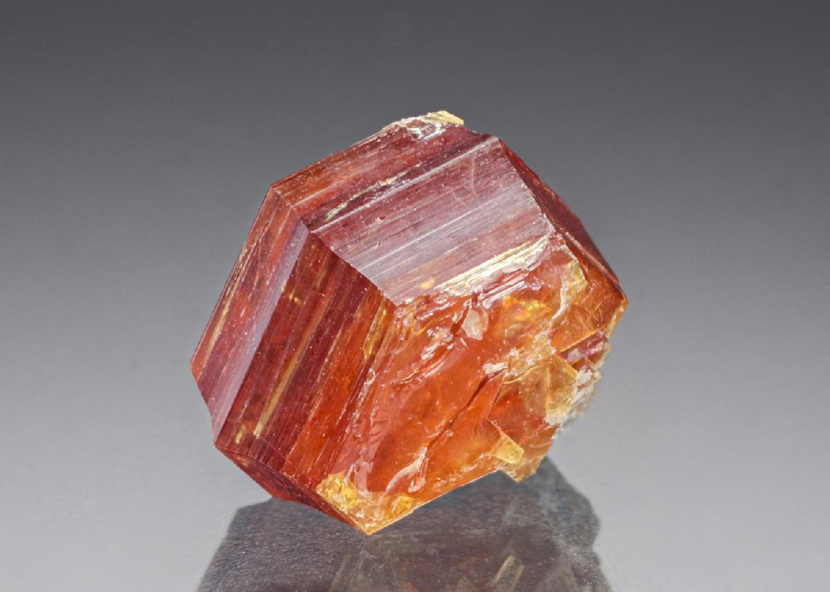 CC27195 specimen image