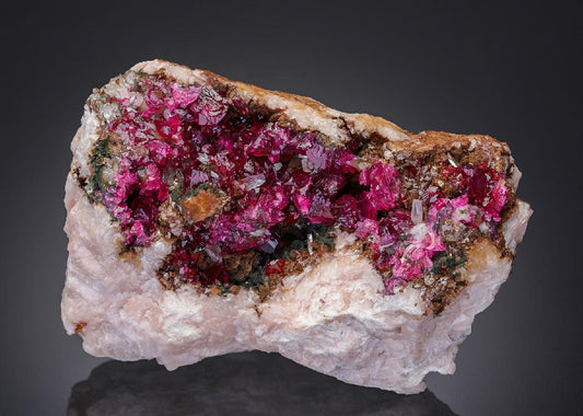 CC27199 specimen image