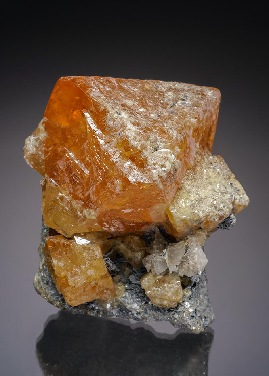CC27219 specimen image