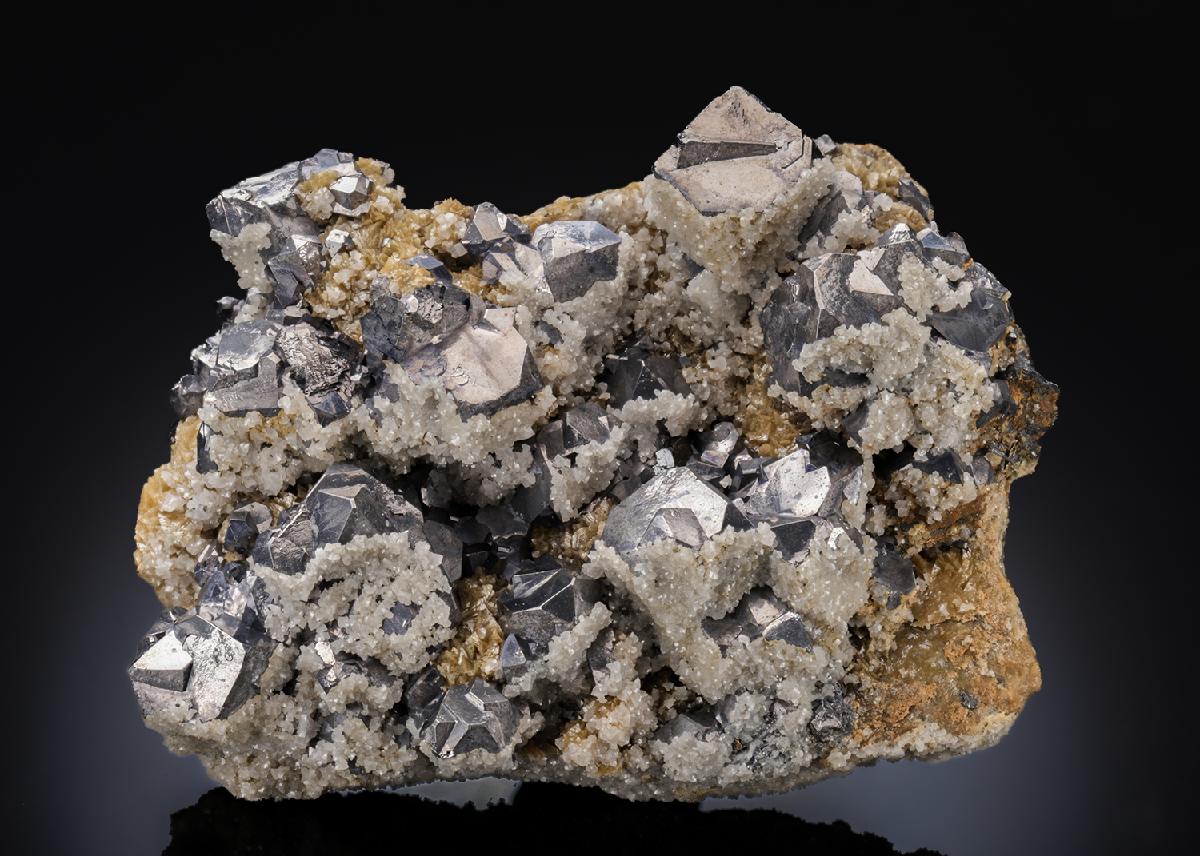 CC27221 specimen image