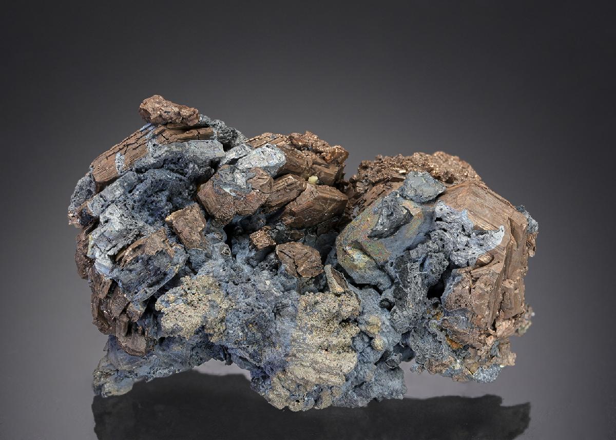 CC27271 specimen image