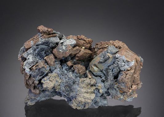 CC27271 specimen image