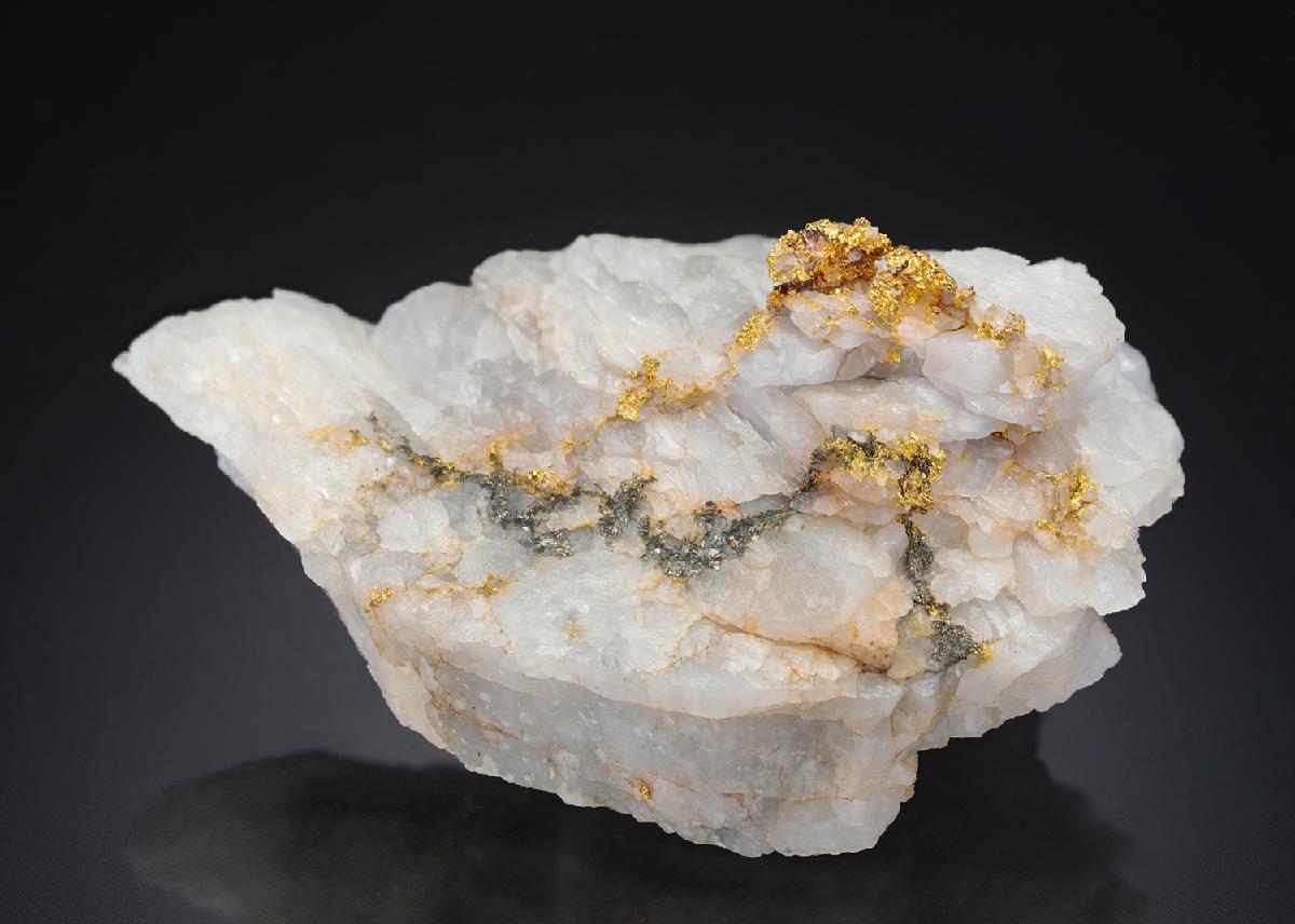 CC27287 specimen image
