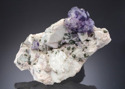 CC27307 specimen image
