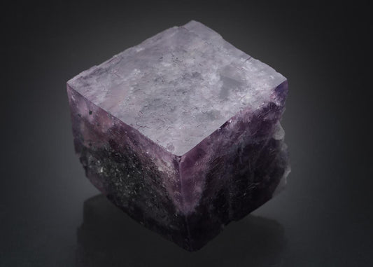 CC2731 specimen image