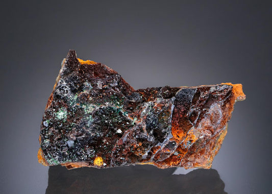 CC27313 specimen image