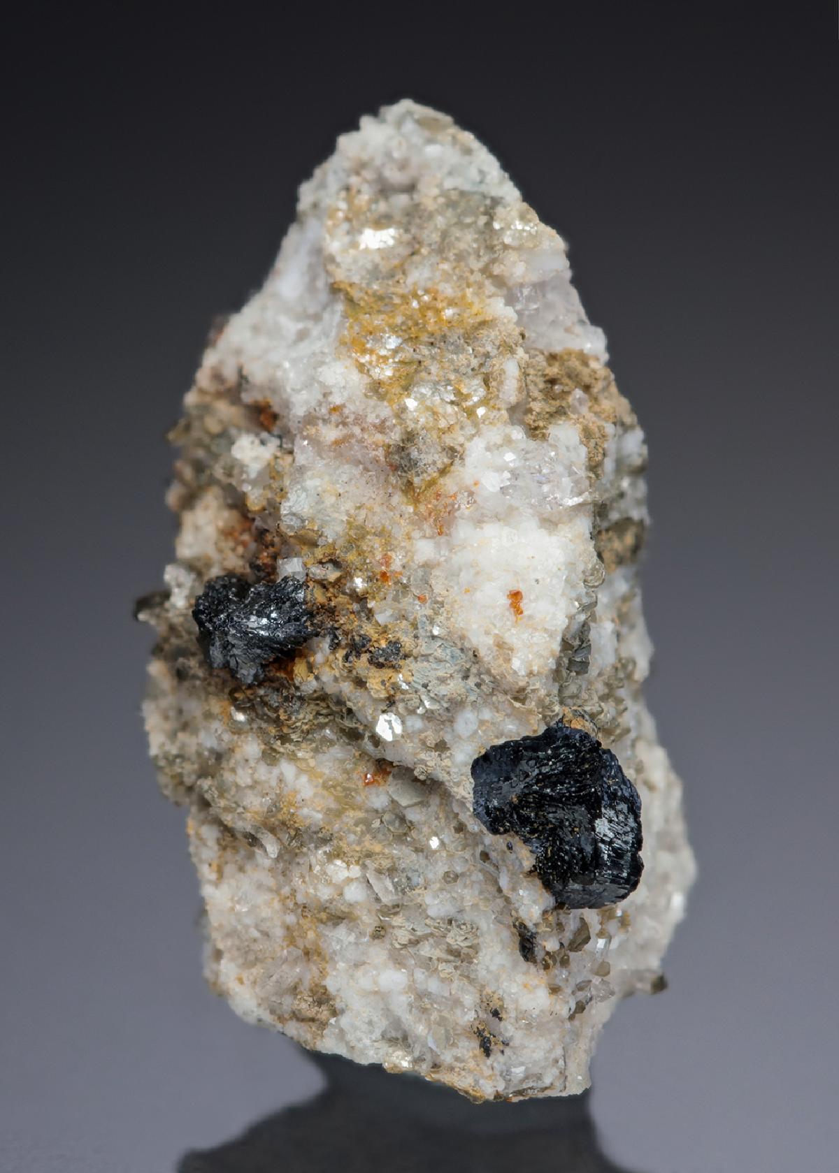 CC27331 specimen image
