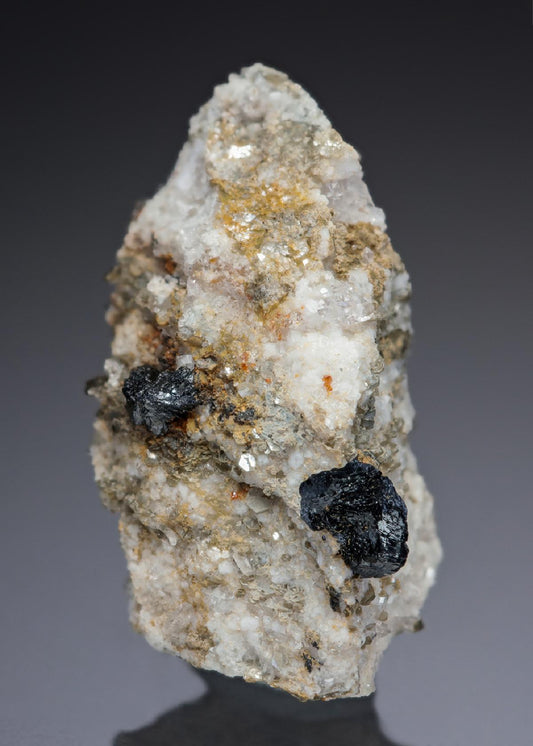 CC27331 specimen image