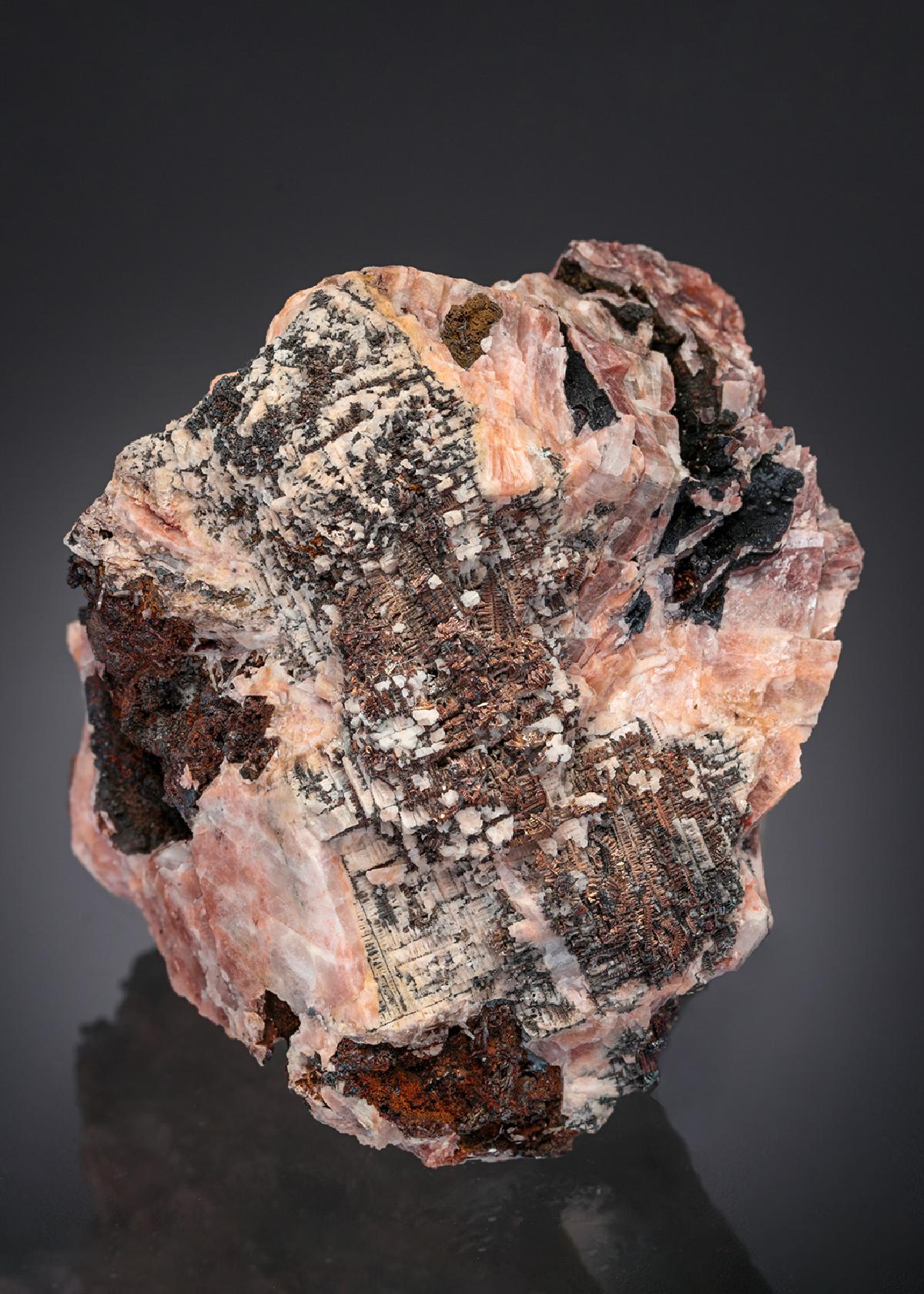 CC27349 specimen image