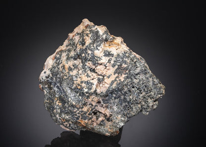 CC27353 specimen image