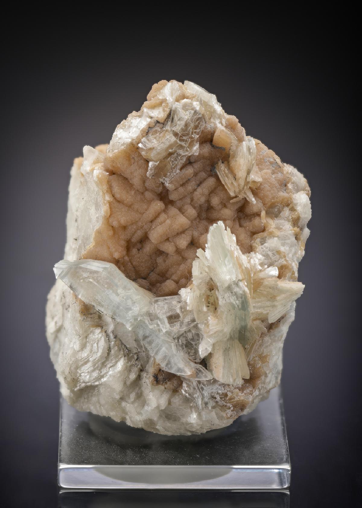 CC27359 specimen image