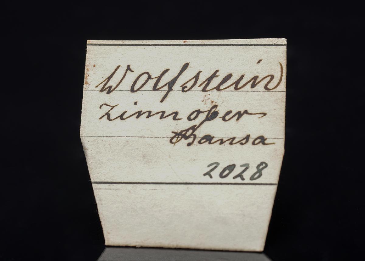 CC27361 specimen image