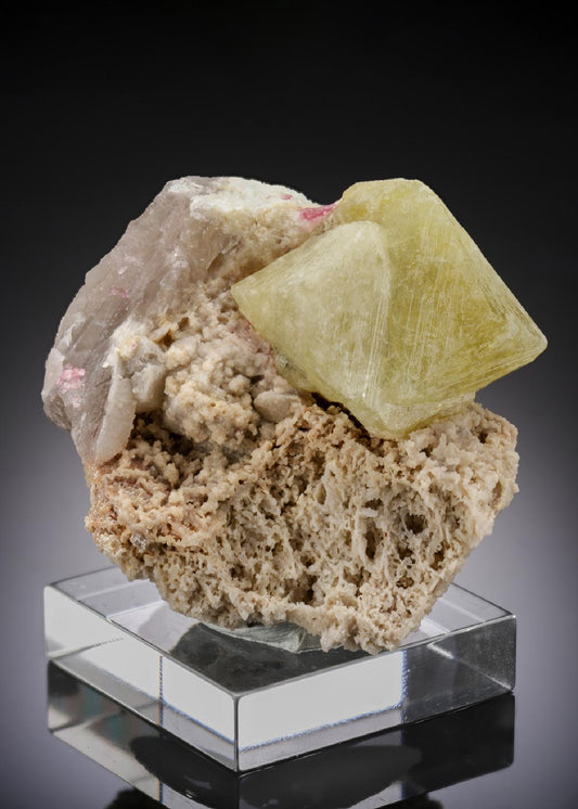 CC27373 specimen image