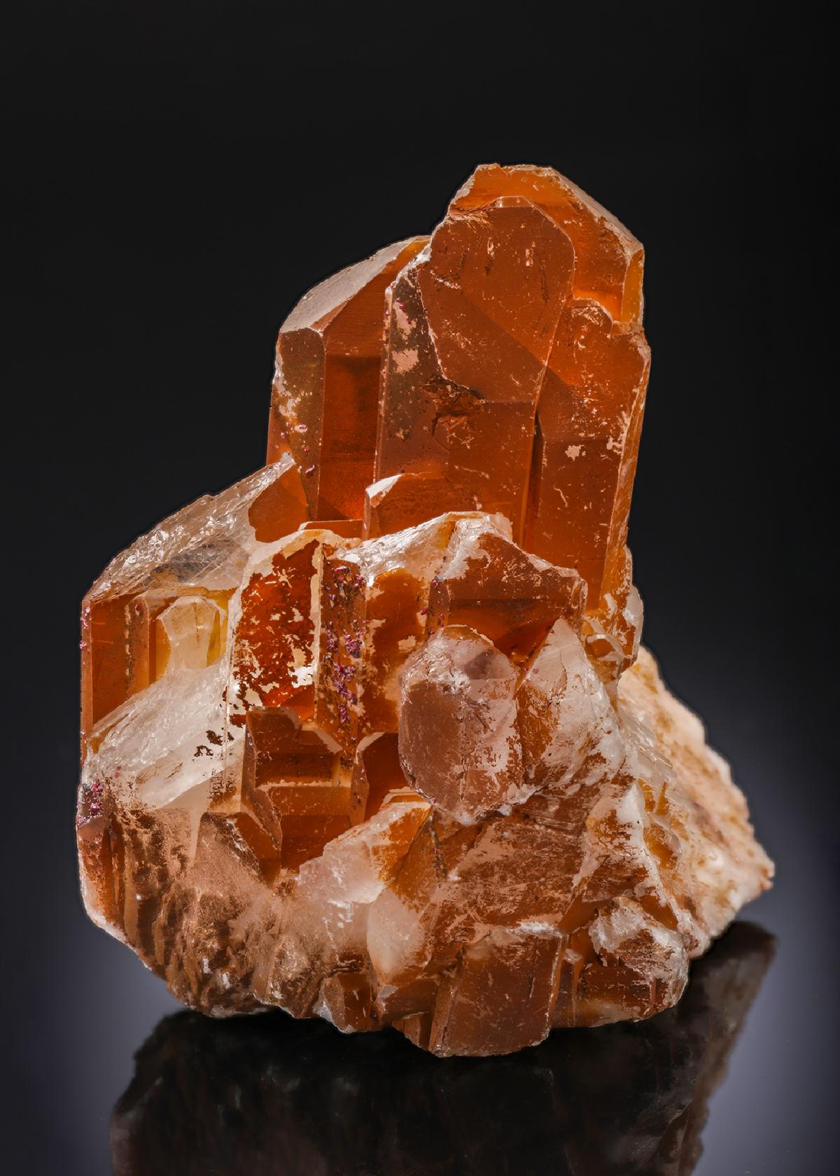 CC27375 specimen image