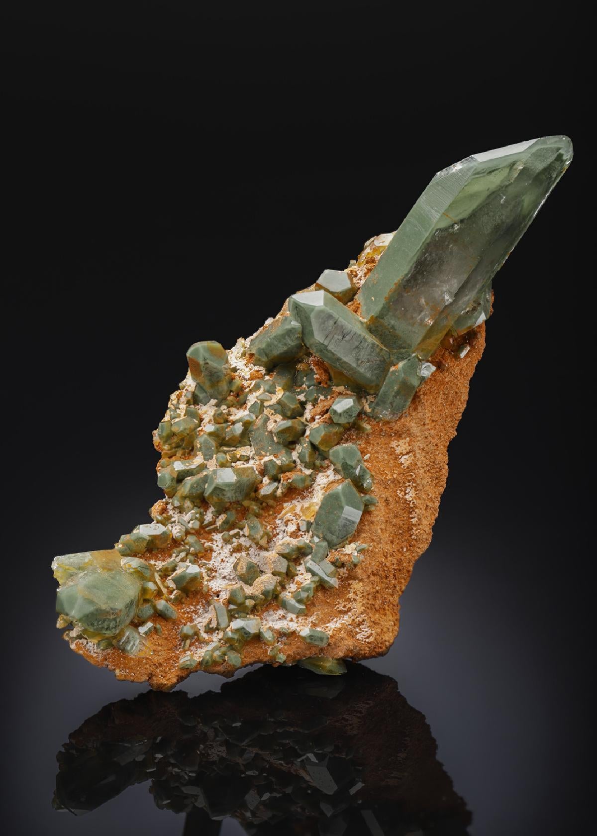CC27383 specimen image