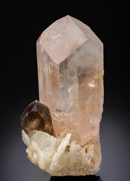 CC27389 specimen image