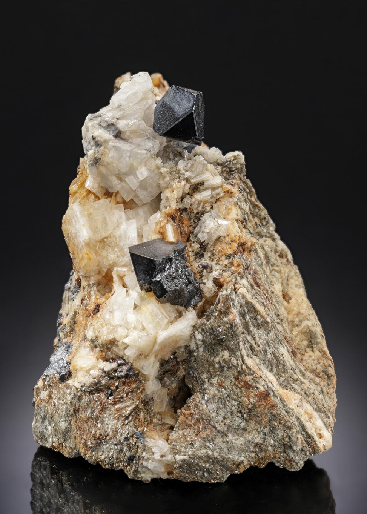 CC27401 specimen image