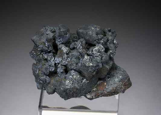 CC27411 specimen image