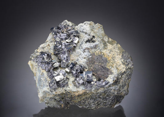 CC27419 specimen image