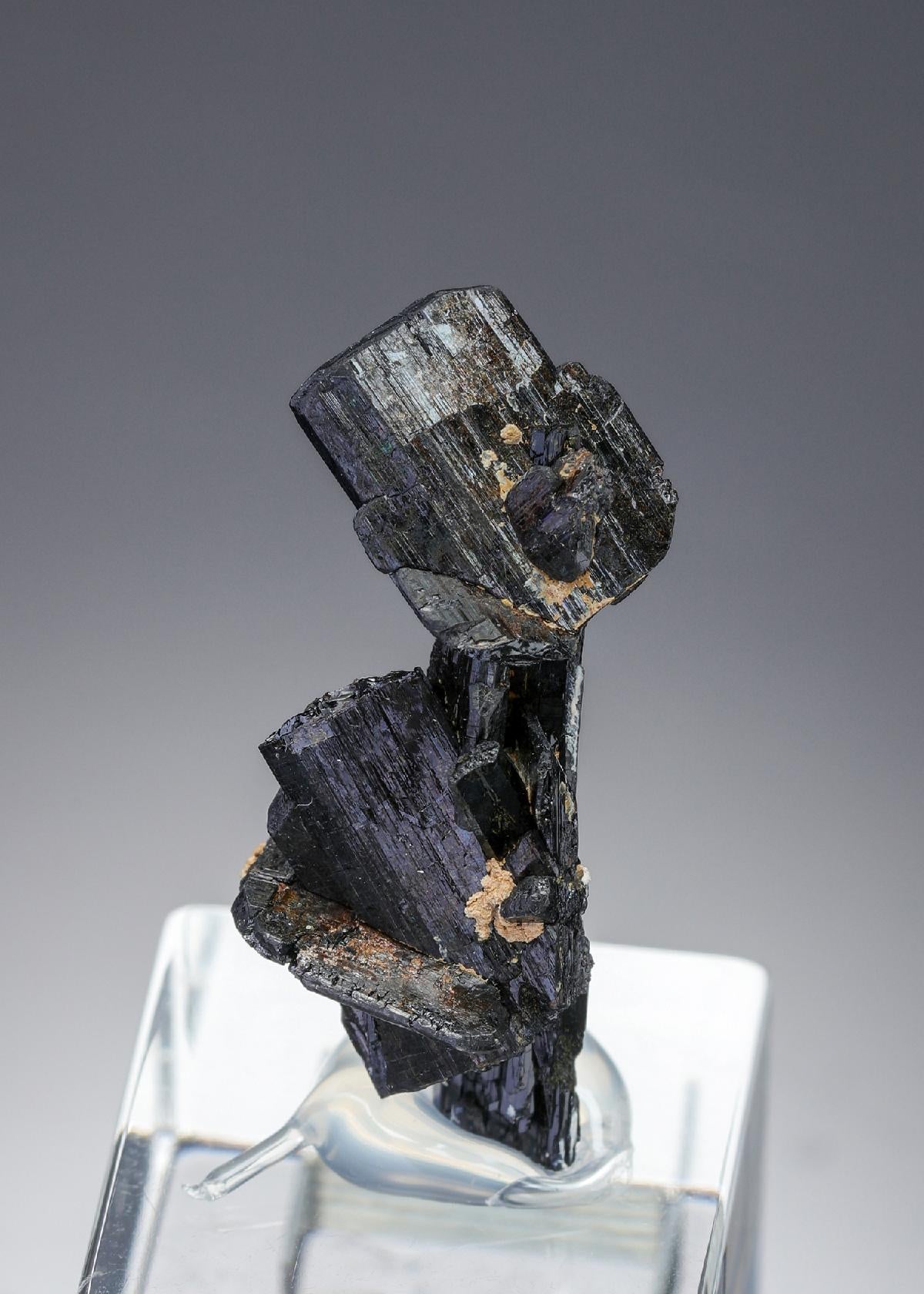 CC27441 specimen image