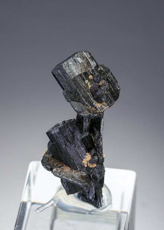 CC27441 specimen image